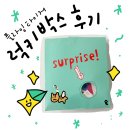 플라잉타이거 럭키박스 서프라이즈 후기