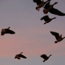 서호공원 이미지