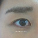 스테이브로우 | [아이브로우카라 명품저렴이] 뭉침없이 자연스레 잘 발리는 더블유랩의 '롱스테이브로우카라'