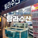 탐라고 | 제주 서귀포 올레시장 맛집 탐라수산 내돈내산 회포장 후기