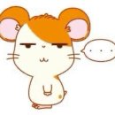 와이낫렌탈