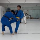 송도 와와 유도장 이미지