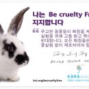바이허브 폼클렌징,여드름화장품 [엑스트라허브 48 오가닉 버블 폼 클렌저/플랜트 스템 셀 디피토너]