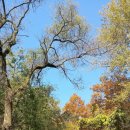 생수가든샘터 | 만추의 아름다운순례길, 변산문학동산