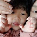 지윤농장 이미지