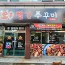 빨간쭈꾸미 이미지