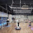 오운테라피 | 요가 추천ㅣ아리아요가 모란역점 다양한 요가수업 직접 다녀온 후기(바레,플라잉,빈야사 등)신흥요가