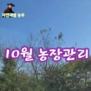 더드림팜 이미지