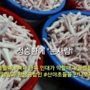 효도건강원 - 제주시 동광로5길 16-3 | 효도건강원