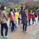 당림초등학교 이미지