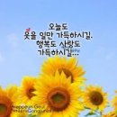 햇님 달님 이미지