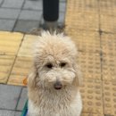 호텔오늘 이미지
