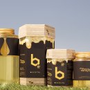 꿀벌(Honey B 이미지