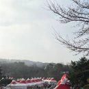 해월로 | [논산] 논산딸기축제 솔직후기 / 성심당 실패했지만 딸기체험·맛집까지 완벽했던 하루