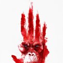 더콩(THE KONG)