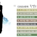 ㈜현대관광 이미지