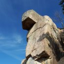 여수순천 우림산우회 제307차 김해 신어산(631m) 정기산행(6월8일) 이미지