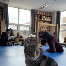 라모타B 이미지