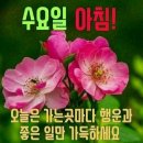 외양간 문 열어요 이미지