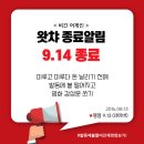 [취향수집] 비긴 어게인 개인적 후기(※9.12 왓챠종료)