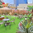 주식회사 제주닷컴 | 루프탑 인조조경, 건물 옥상에 제주느낌의 인조식물 야외정원 만들기