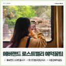 에버랜드 스마트줄서기 예약 꿀팁은? 사파리월드, 로스트밸리 이렇게만 하면 대성공!