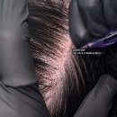 어드반SMP 이미지