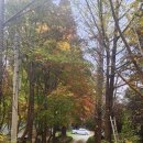 대야리(대실) 이미지