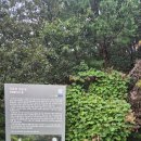 광주이씨묘역 | 광주이씨 역대 영의정 묘역 성묘순례