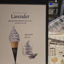라벤더 | 폴바셋 폴앤밀도 라벤더 아이스크림 후기