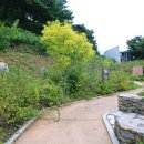 미선향테마파크 이미지