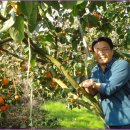 신영주농장 이미지