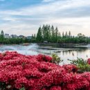 금관대로1368번길 이미지