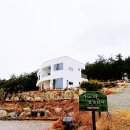 가고파별빛담아 이미지