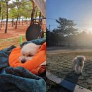 지경국민여가캠핑장 이미지