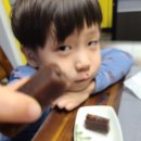 양갱아쿠아리움