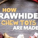 (주)올네이쳐 이미지