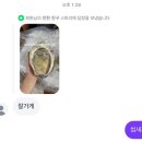 삼선10 | 삼선바다 바위굴 10kg 내돈내산 후기