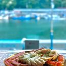 도란도란애견푸드 이미지