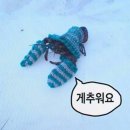 뺑이식당 네이버블로그