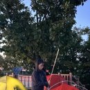 예예 이미지