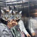 [바르셀로나] &#39;원샷아라고257(Hotel One Shot Aragó)&#39; 위치 좋은 가성비 호텔