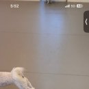 포우 파라다이스 이미지