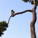 영주 소수서원 이미지