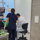 호산나 | 아프지 않게 치료해 주는 호산나 치과 평촌점 다녀온 후기