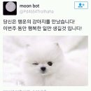 붐붐 이미지