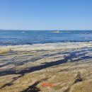 호미반도해안둘레길 이미지