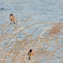 낙동강변14 이미지