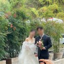 천안 웨딩스튜디오 플라워디렉팅 (아우라스튜디오)