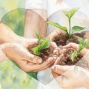 왜 꽃이 젖는가?​- 4.19 이미지